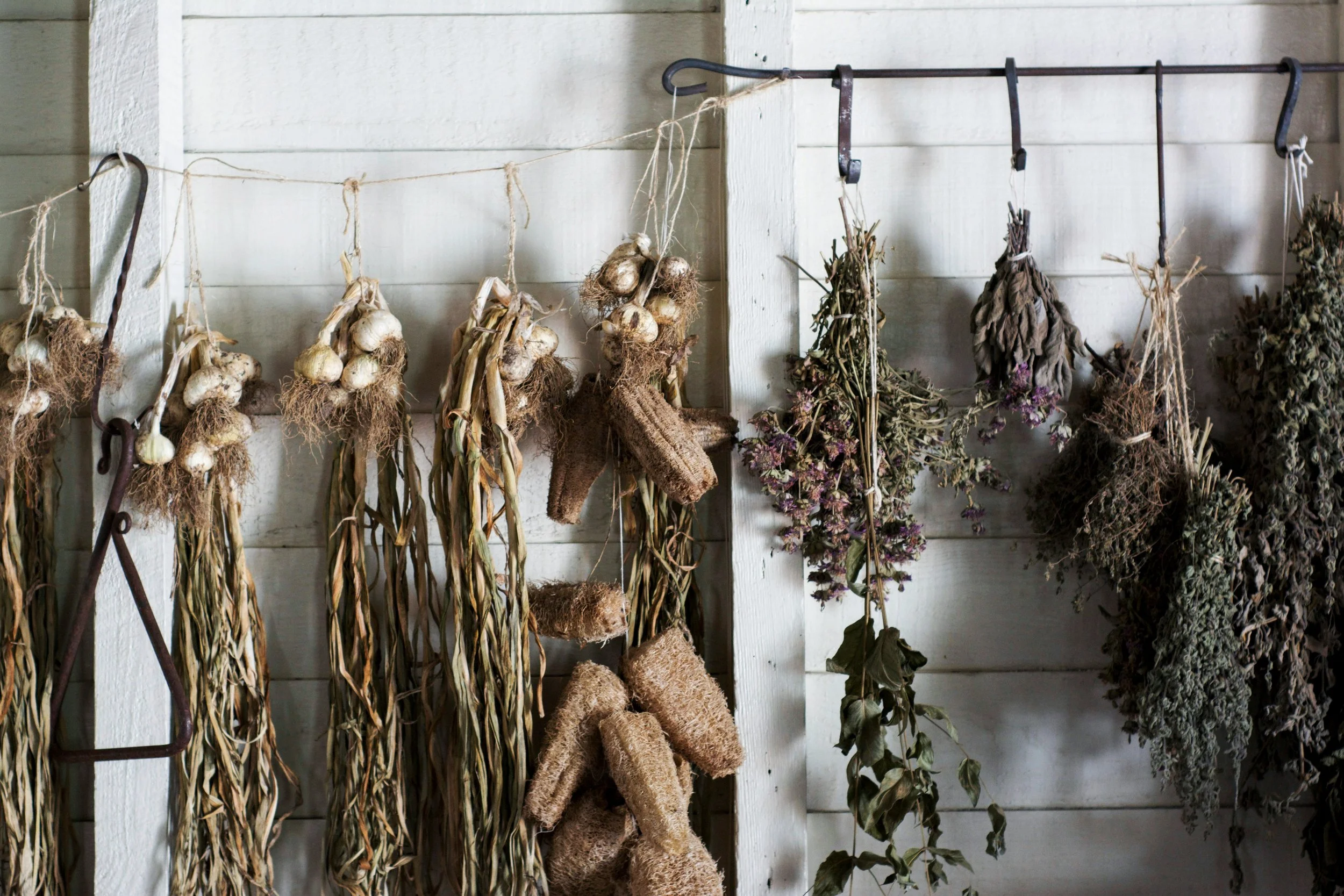 How to Grow and Harvest Medicinal Herbs in Summer (Even in a Small Space)