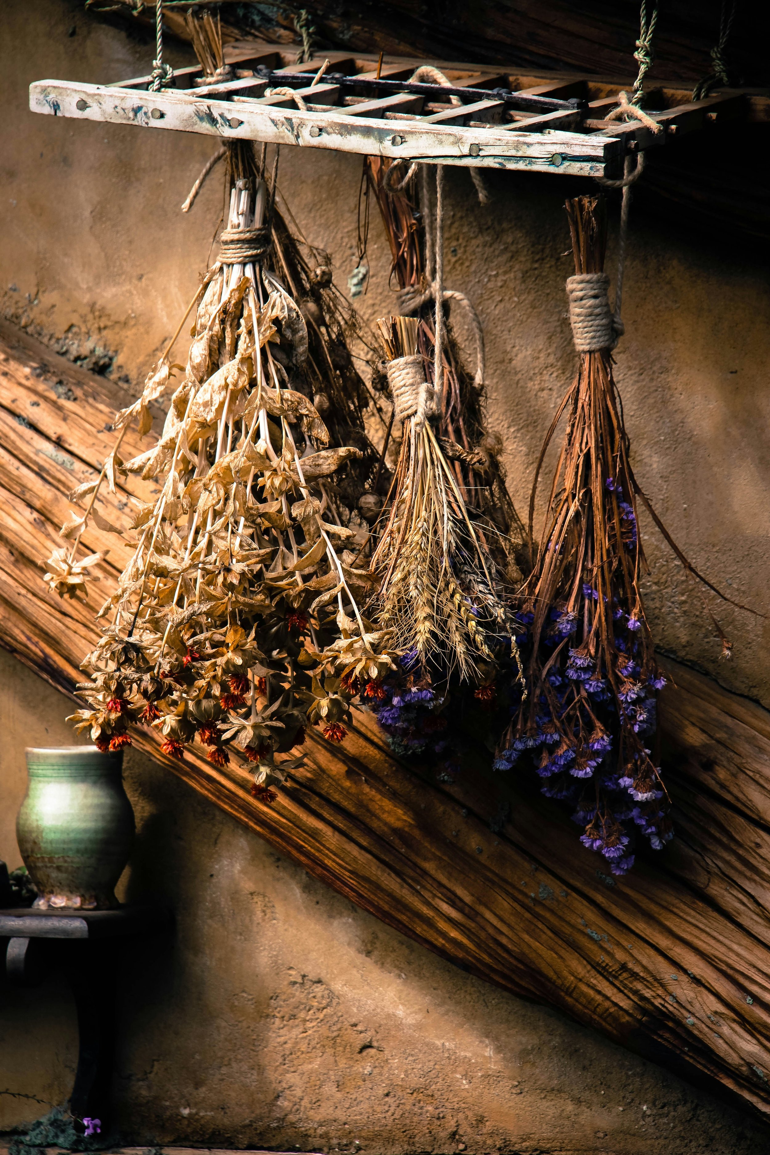 The Forgotten Tradition of Drying Herbs at Home