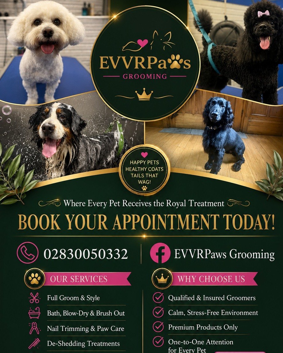 Give Your Pet the Royal Treatment at EVVRPaws Grooming! 

Looking for a professional, caring groomer who treats your pet like family?

At EVVRPaws Grooming, we're passionate about making every visit a positive experience. Whether your furry friend ne