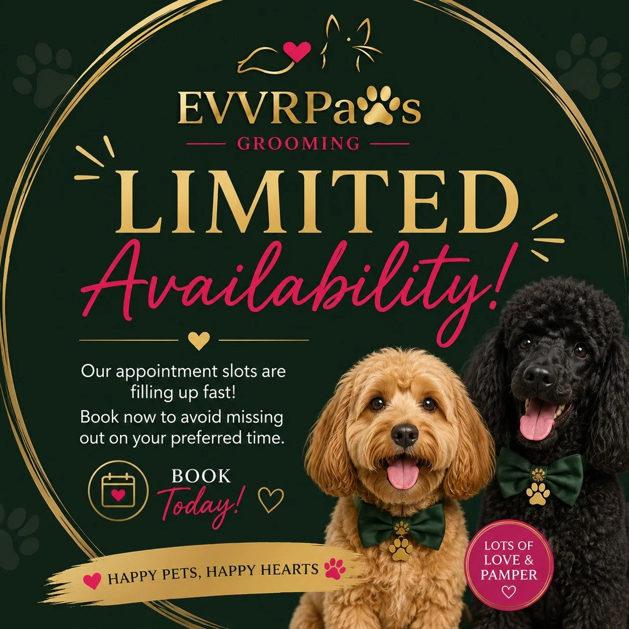 LIMITED APPOINTMENTS AVAILABLE THIS WEEK

Looking to get your pup booked in for a little pampering?

We still have some availability at EVVRPaws Grooming this week, so if your furry friend is due a freshen-up, now is the perfect time to get booked in