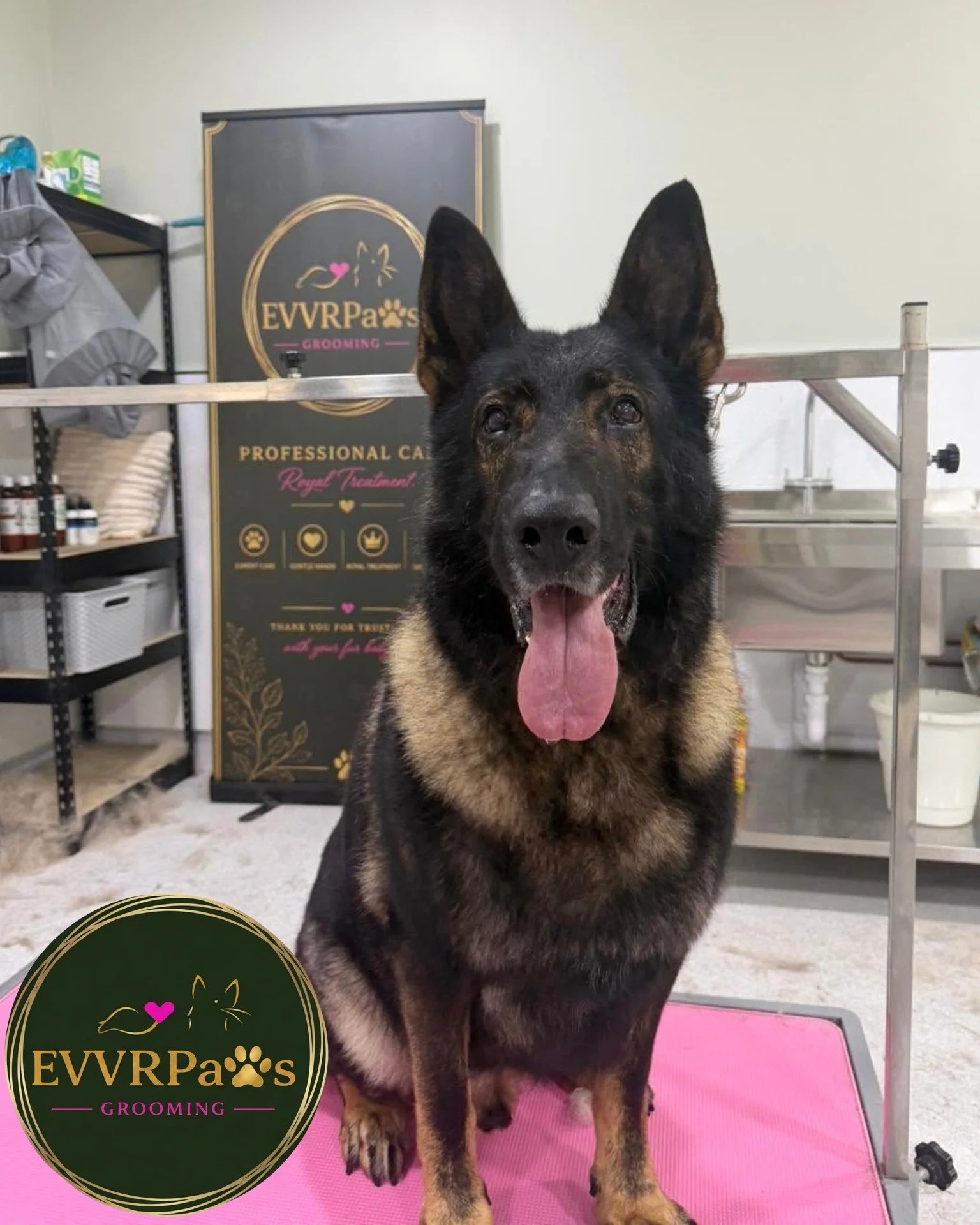 **LIMITED AVAILABILITY**

We have some last minute appointments available Tomorrow and Thursday, this is perfect for: 

-Bath &amp; Tidy
- Nail Trimming
- Facial 

Click on our website to check out the last remaining slots
https://www.evvrpaws.co.uk/
