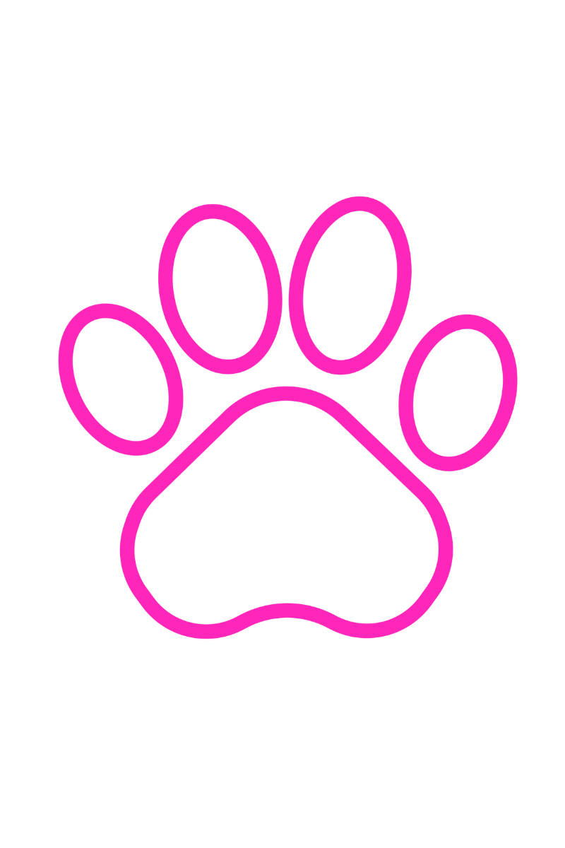 Pink neon outline of a paw print to represent dog nail grooming..