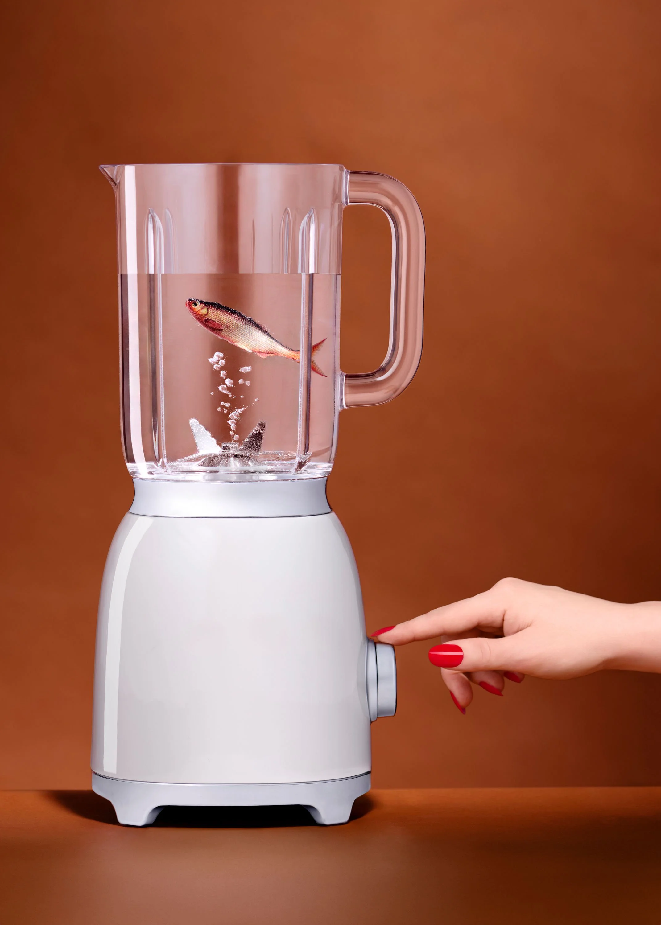Guldfisk_blender_v1 kopier.jpg