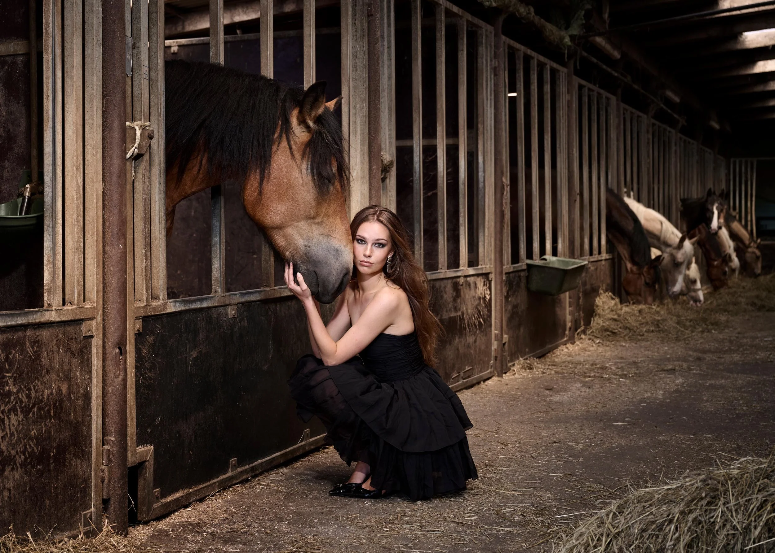 Hest  - 03_1.jpg