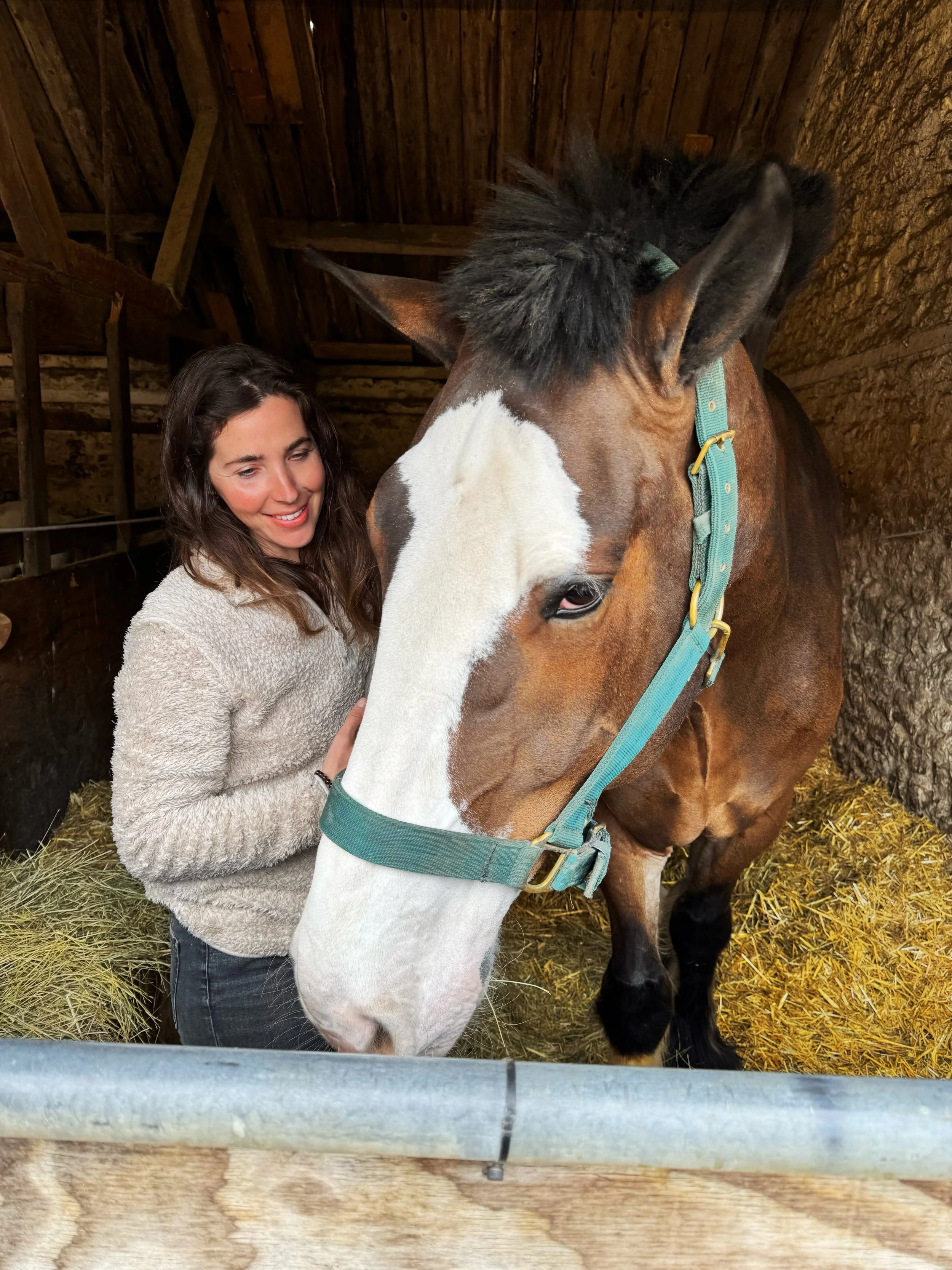 In-Person Horse Session