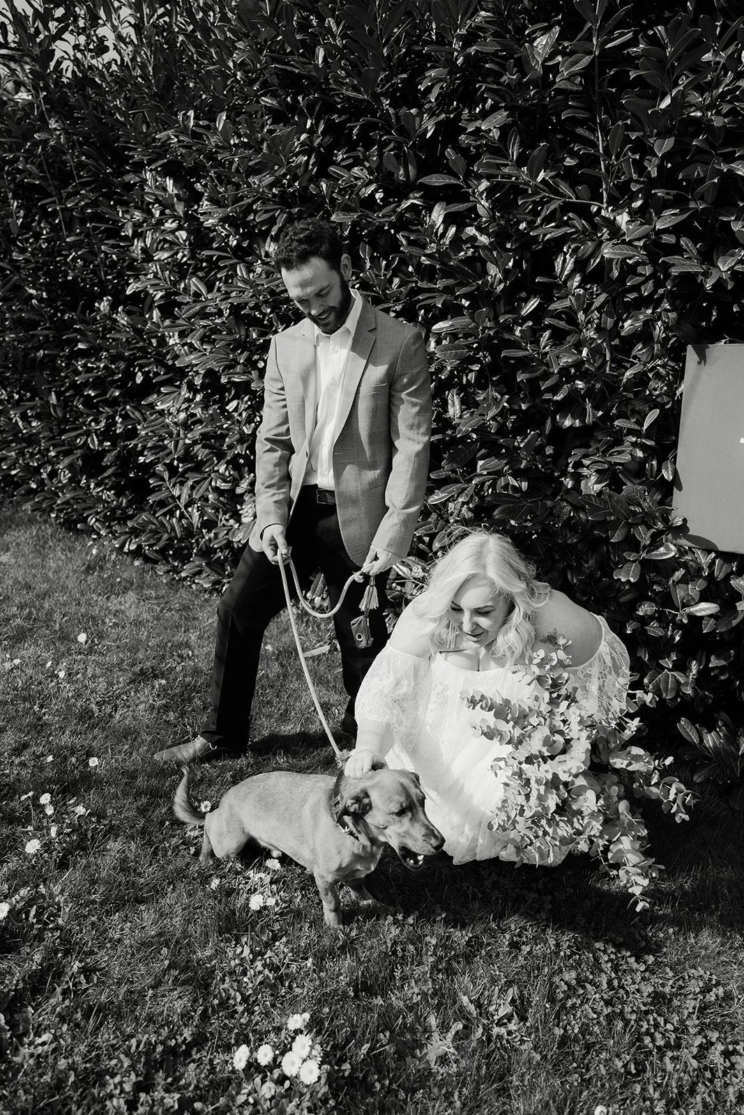 A black and white photo of a man in a suit and a woman in a white dress outside near a large hedge, with the woman sitting on the grass touching a dog while the man holds the dog's leash.