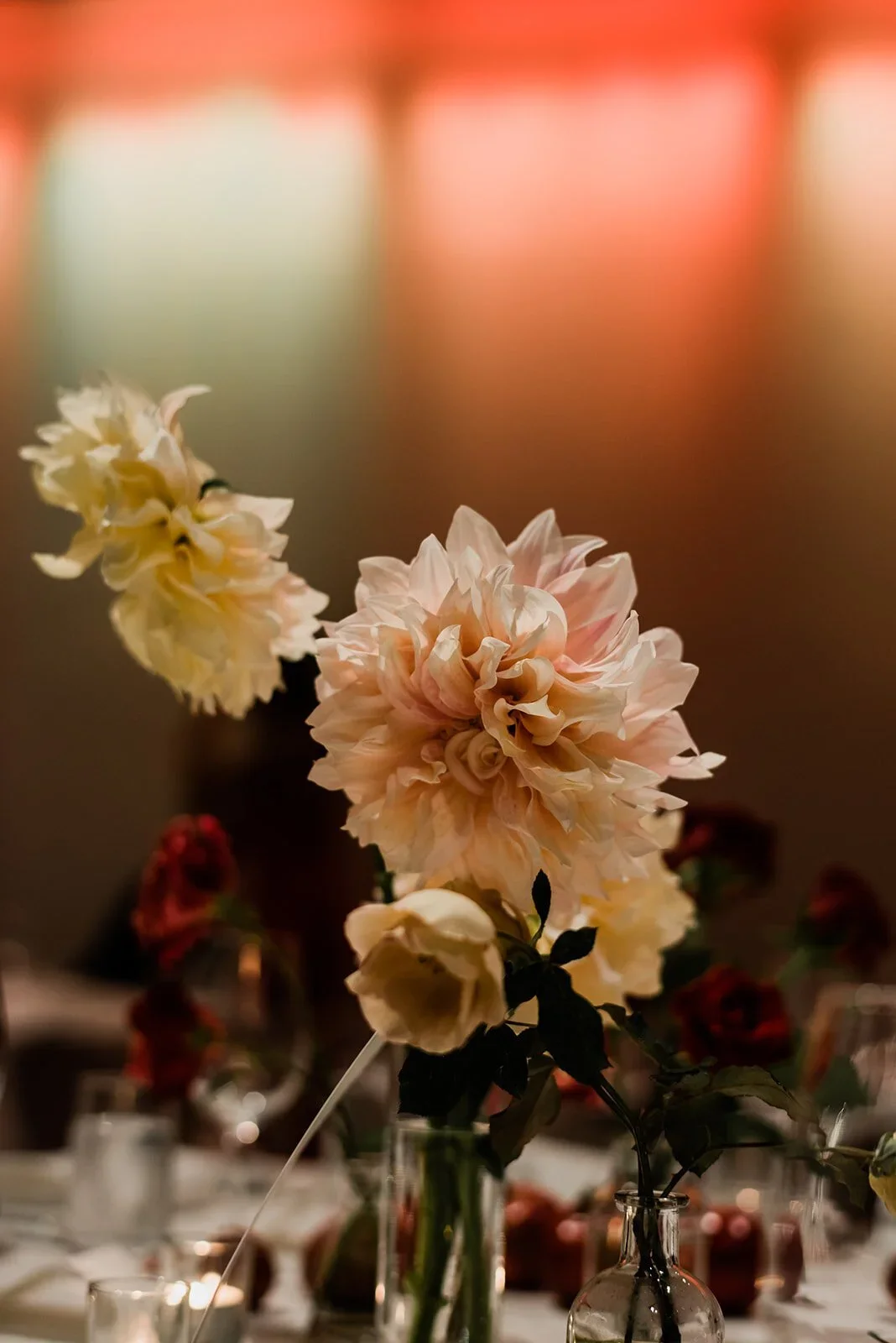 Close-up of a floral centerpiece with white and light pink dahlias in a clear glass vase on a table, blurred background with soft warm lighting.