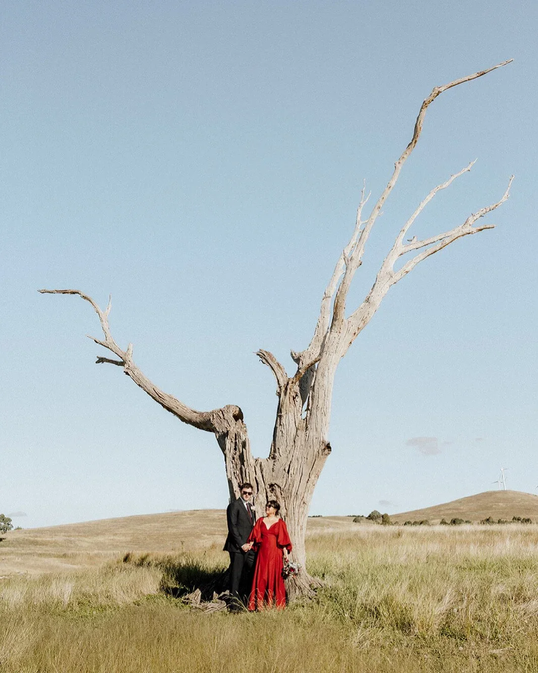 A couple in formal attire standing under a tall, leafless, weathered tree in a grassy field with rolling hills and a wind turbine in the background.
