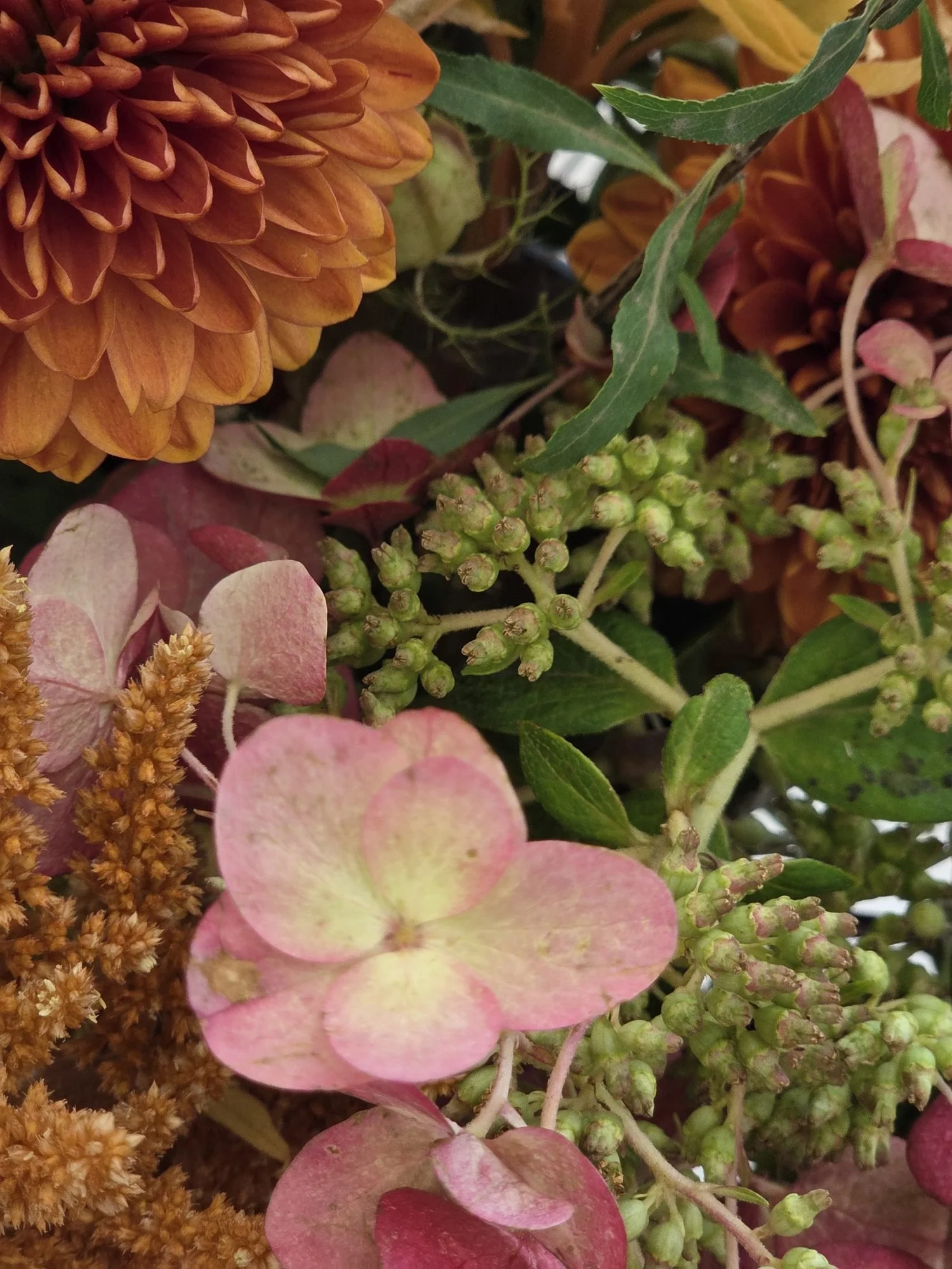 Close up of dahlia and hydrangea floral arrangement in fall tones