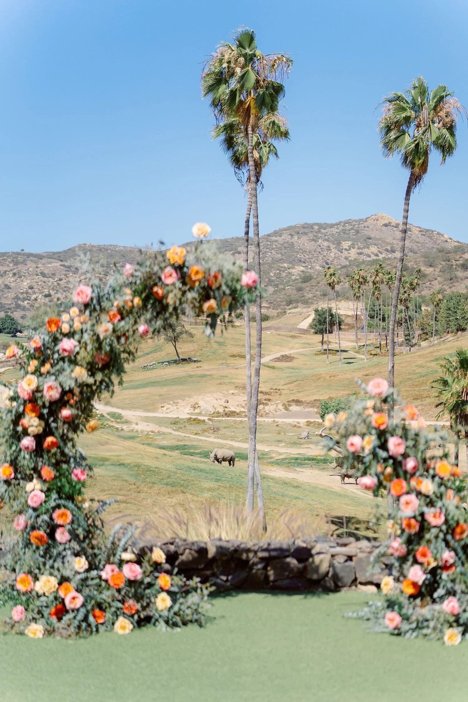 wedding-floral-arch-san-diego-safari-park-ceremony.jpg