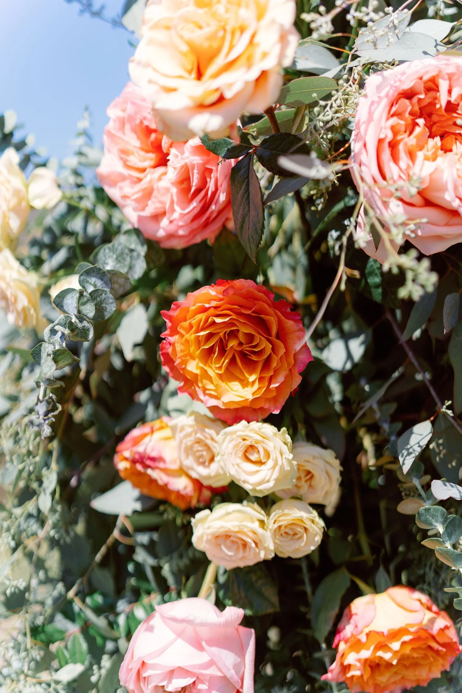 floral-design-san-diego-wedding-arch-roses-detail.jpg