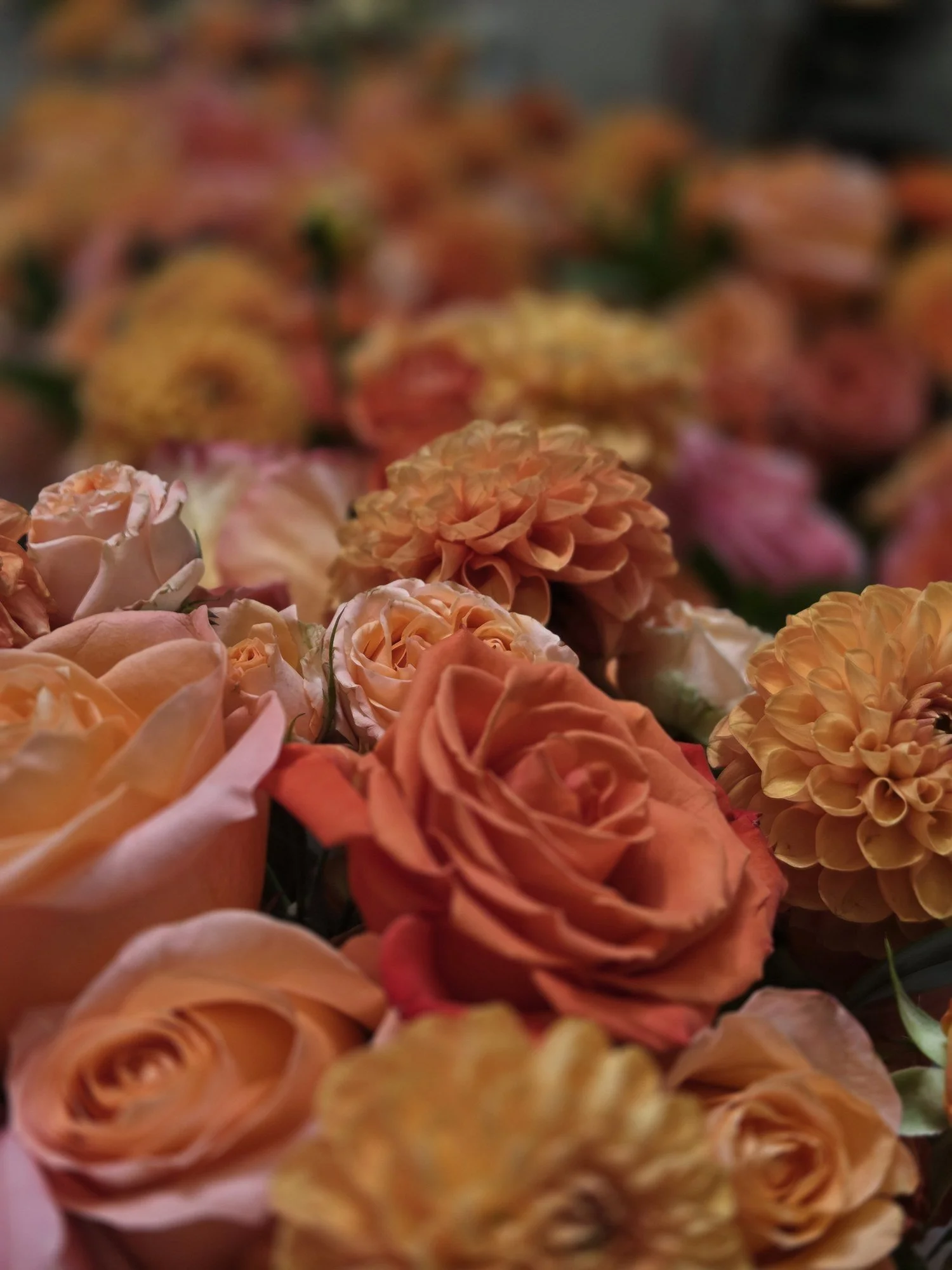 Dahlia and rose floral wall in shades of orange