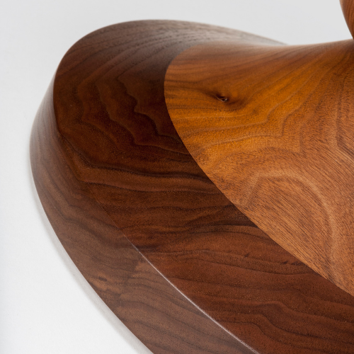 Close-up of a polished wooden surface with natural grain patterns.