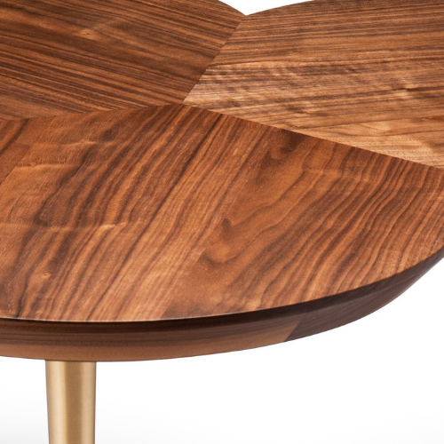 Close-up of a wooden table with a smooth, polished surface and a visible wood grain pattern.