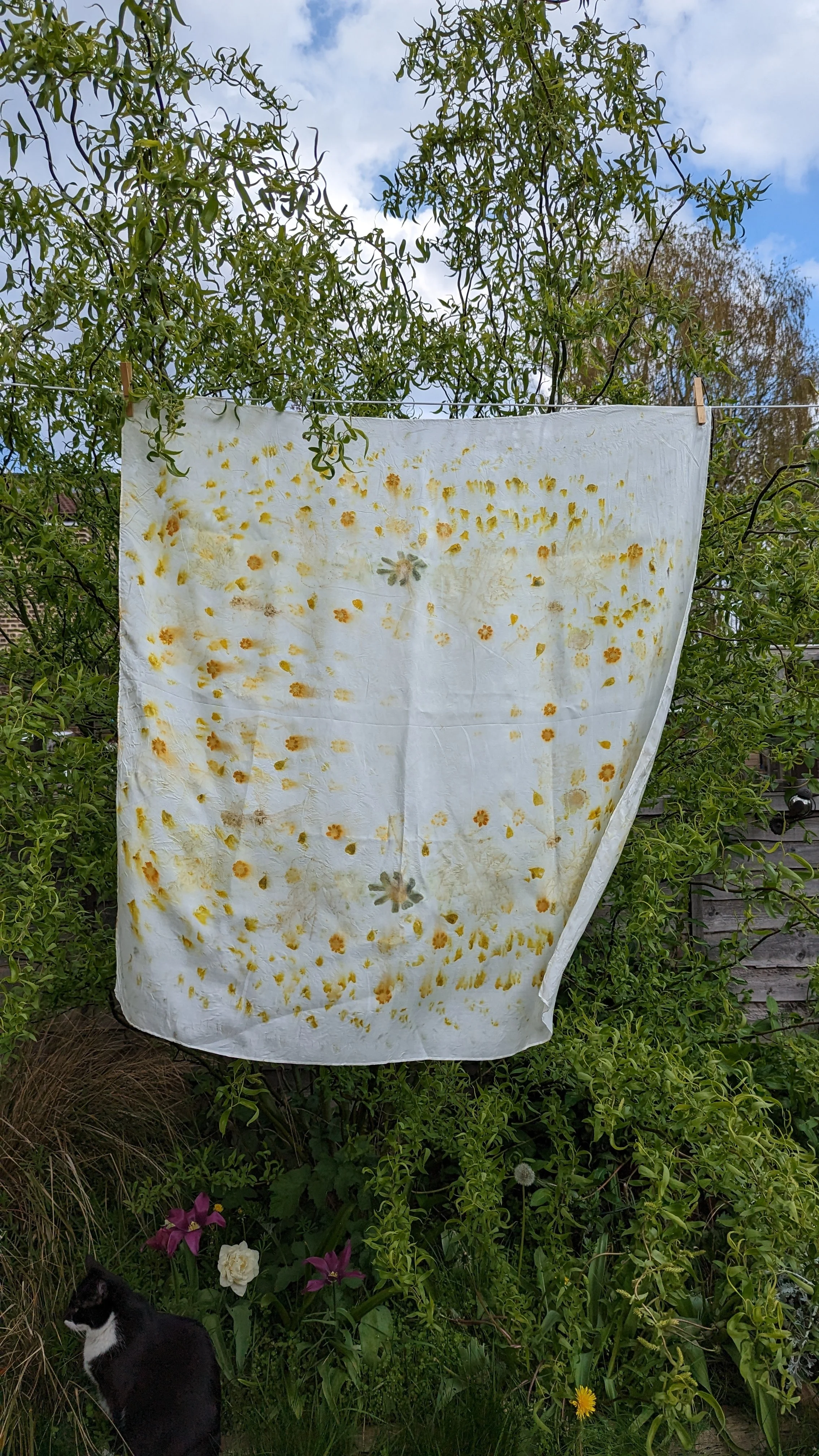 Steamed flower silk scarf hung on line.jpg