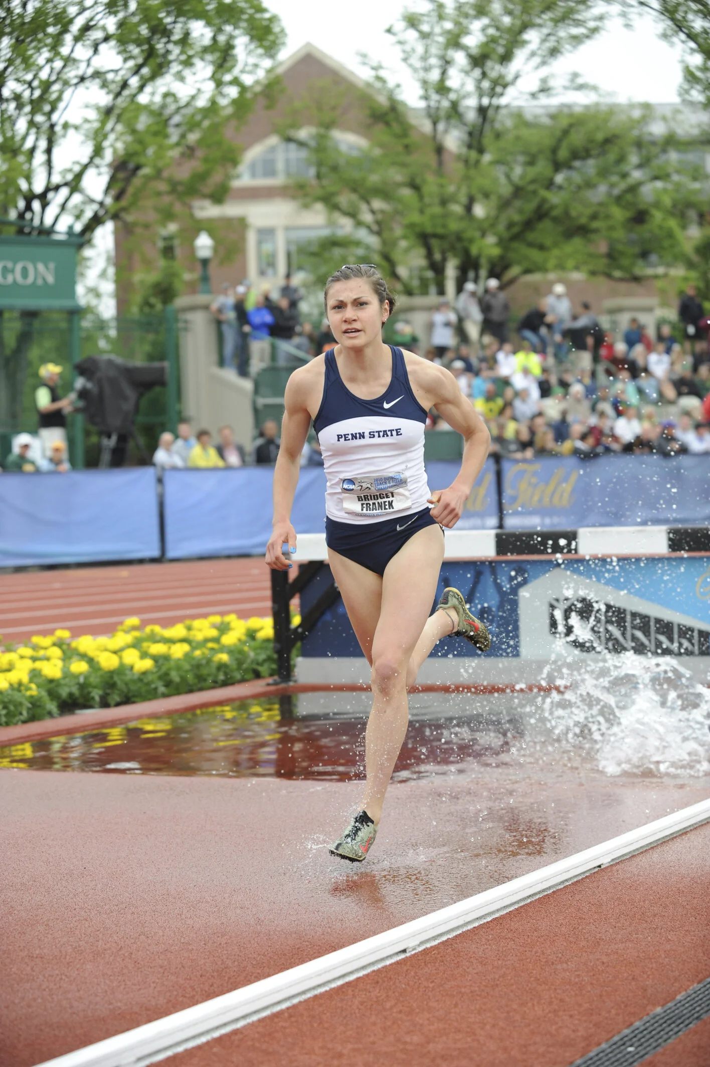 Bridget Franek, Steeplechaser