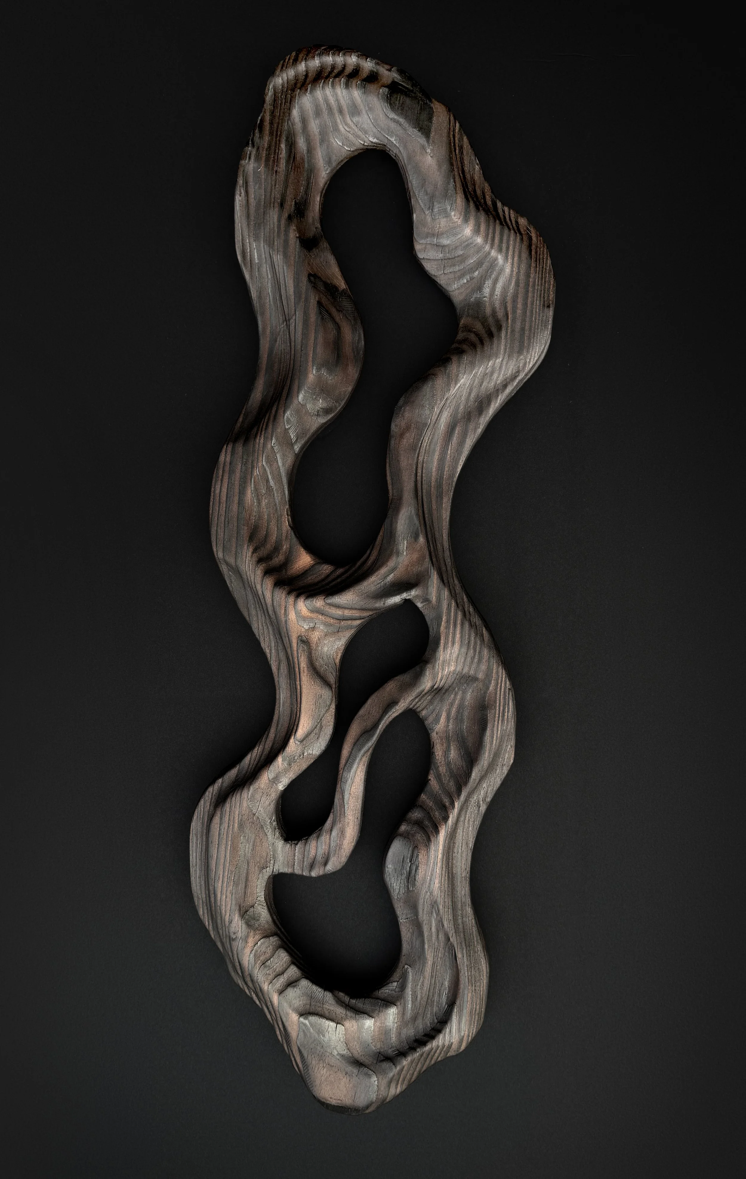 A wooden abstract sculpture with curved, elongated shapes and hollowed-out sections, set against a dark background.