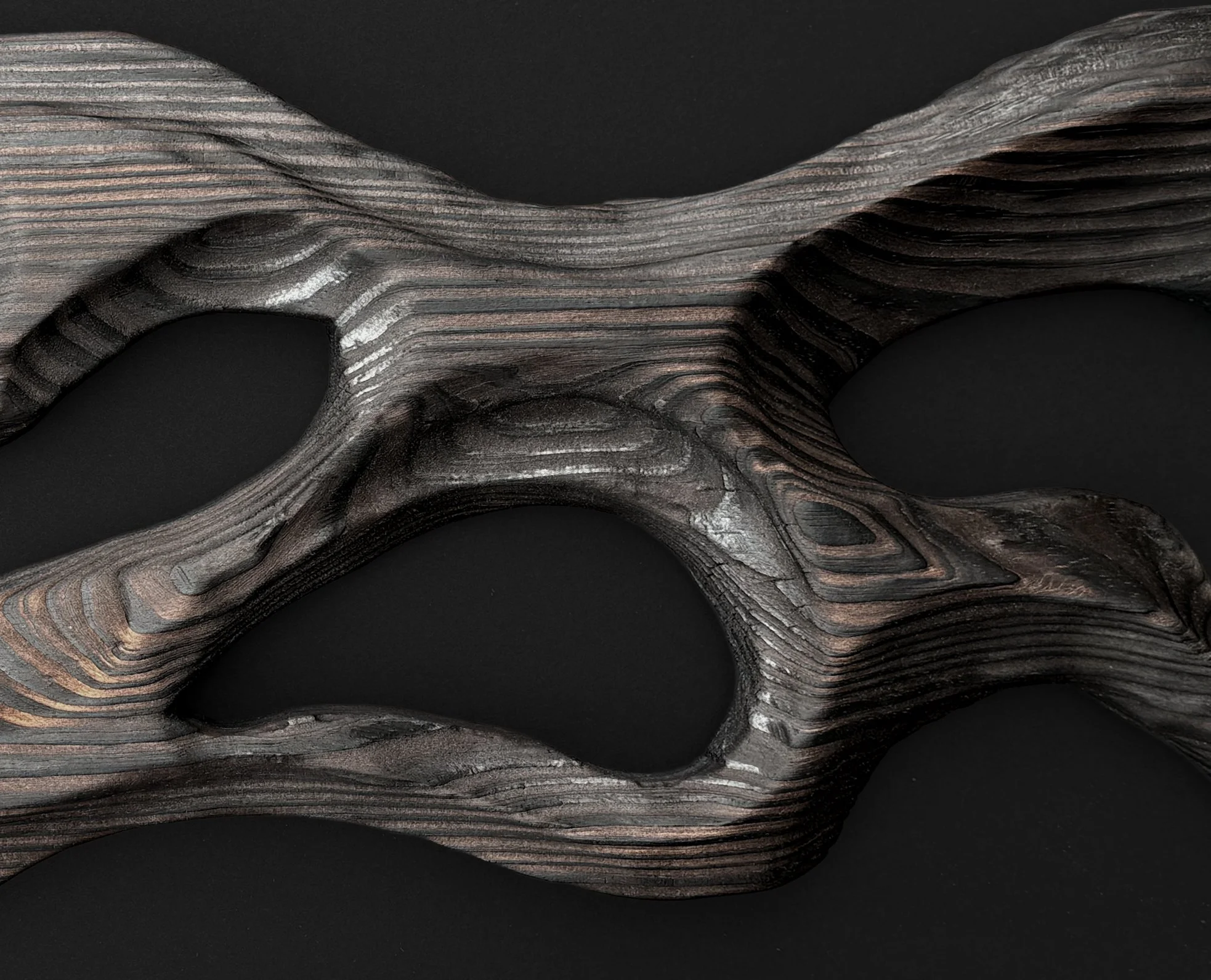 Close-up of a dark, textured wooden sculpture or object with smooth curves, set against a black background.