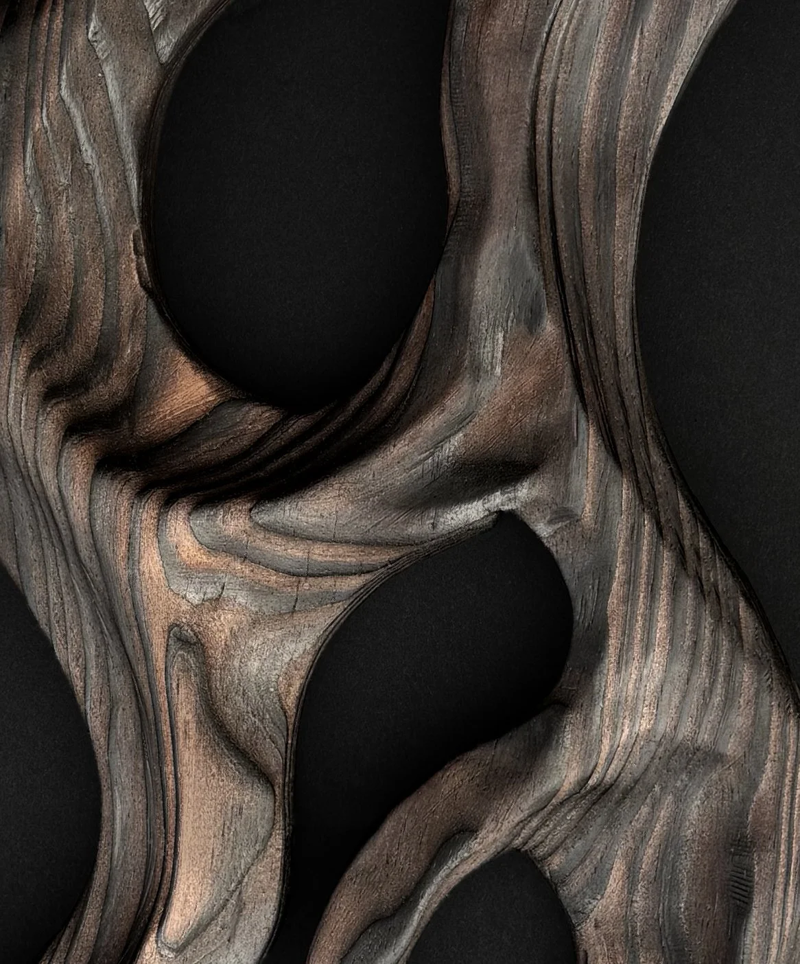Close-up of a wooden sculpture with smooth, flowing curves and dark, hollow spaces.