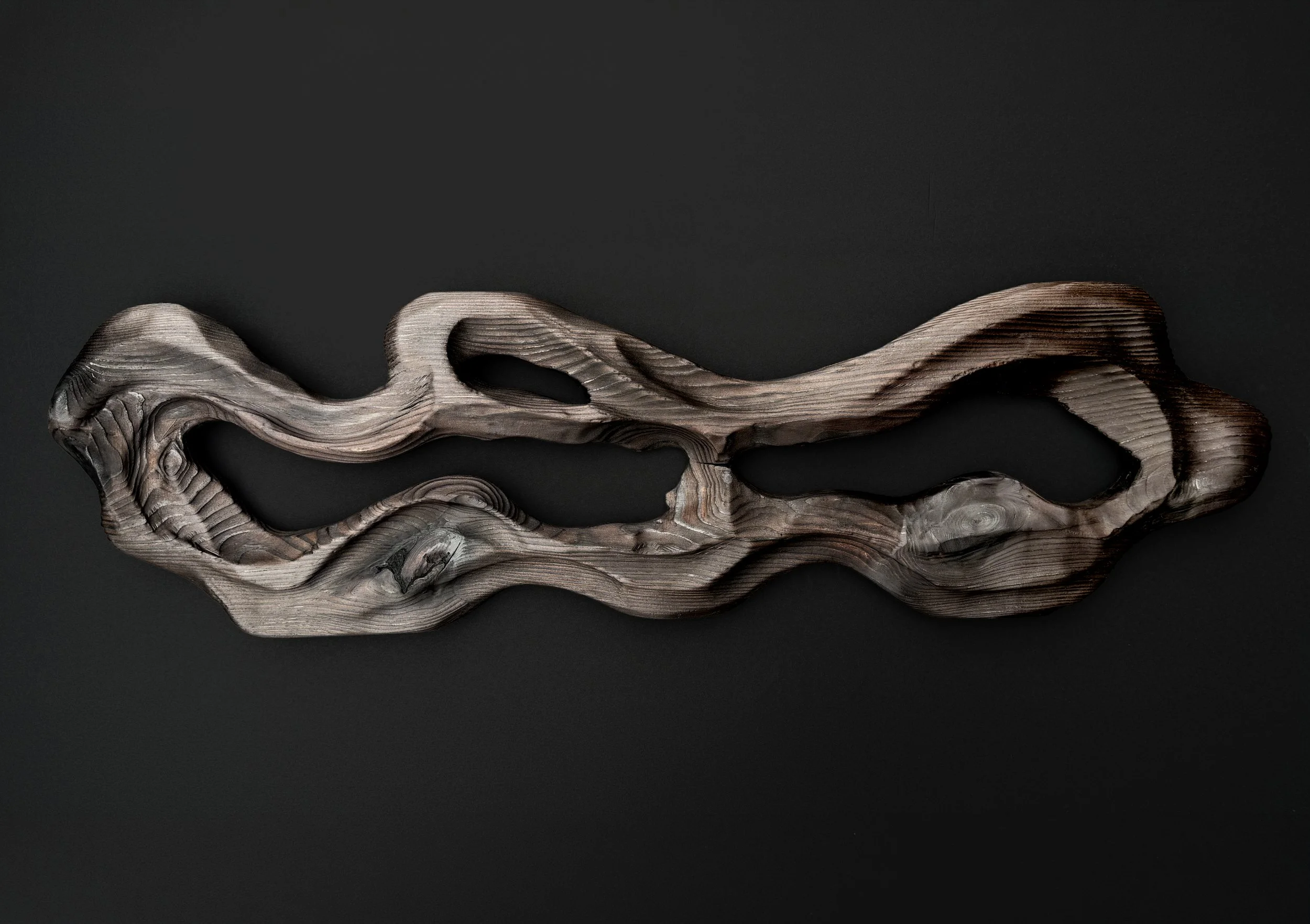 A wood wall sculpture piece featuring a biomorphic form, textured wood against a black background.