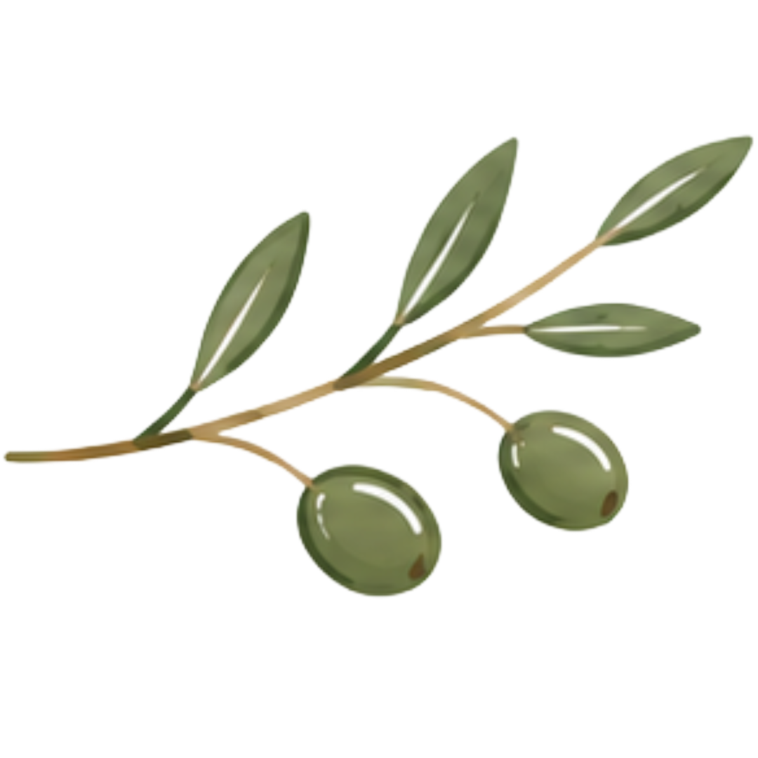 An olive branch with three green olives and elongated green leaves.