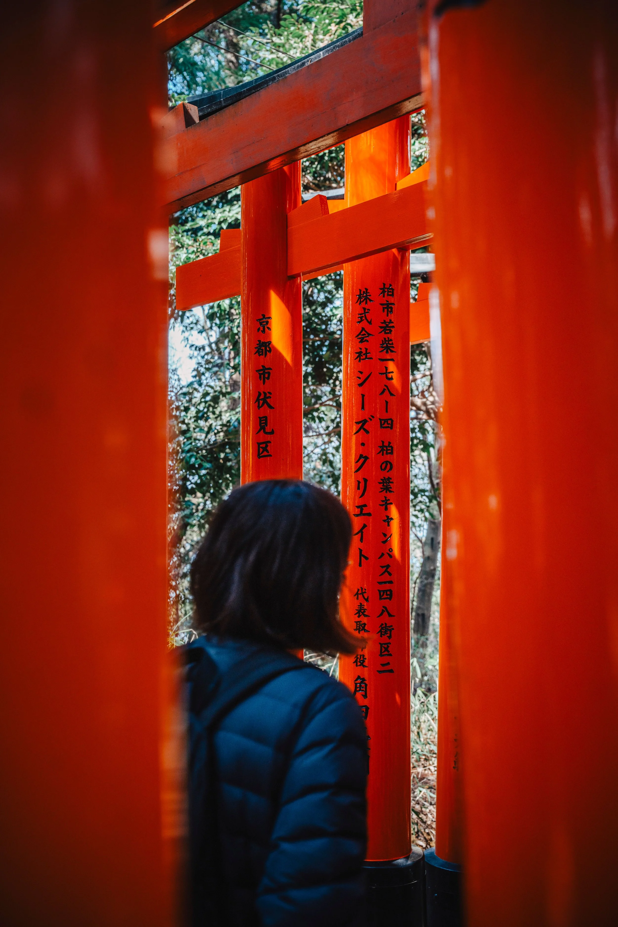 Vue à travers des piliers rouges d'une torii lors d'une visite dans un sanctuaire japonais, avec une personne portant une veste bleue en premier plan. Cette photo évoque l'importance du sacré, du retour à soi pour aller vers son alignement.
