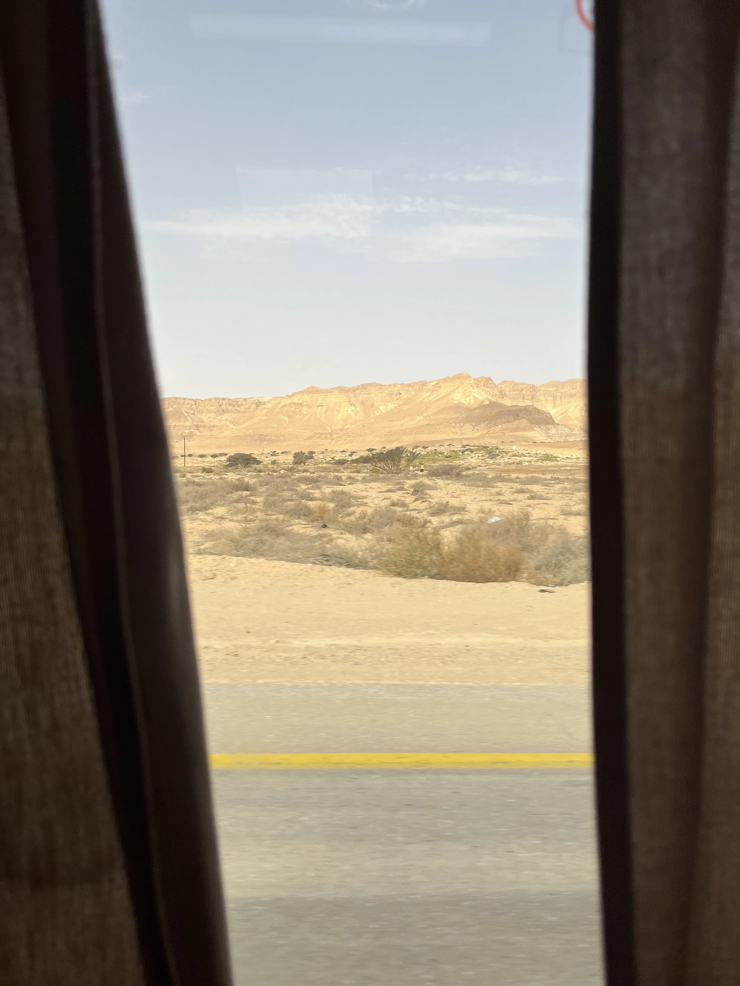 IMG_2541.jpeg