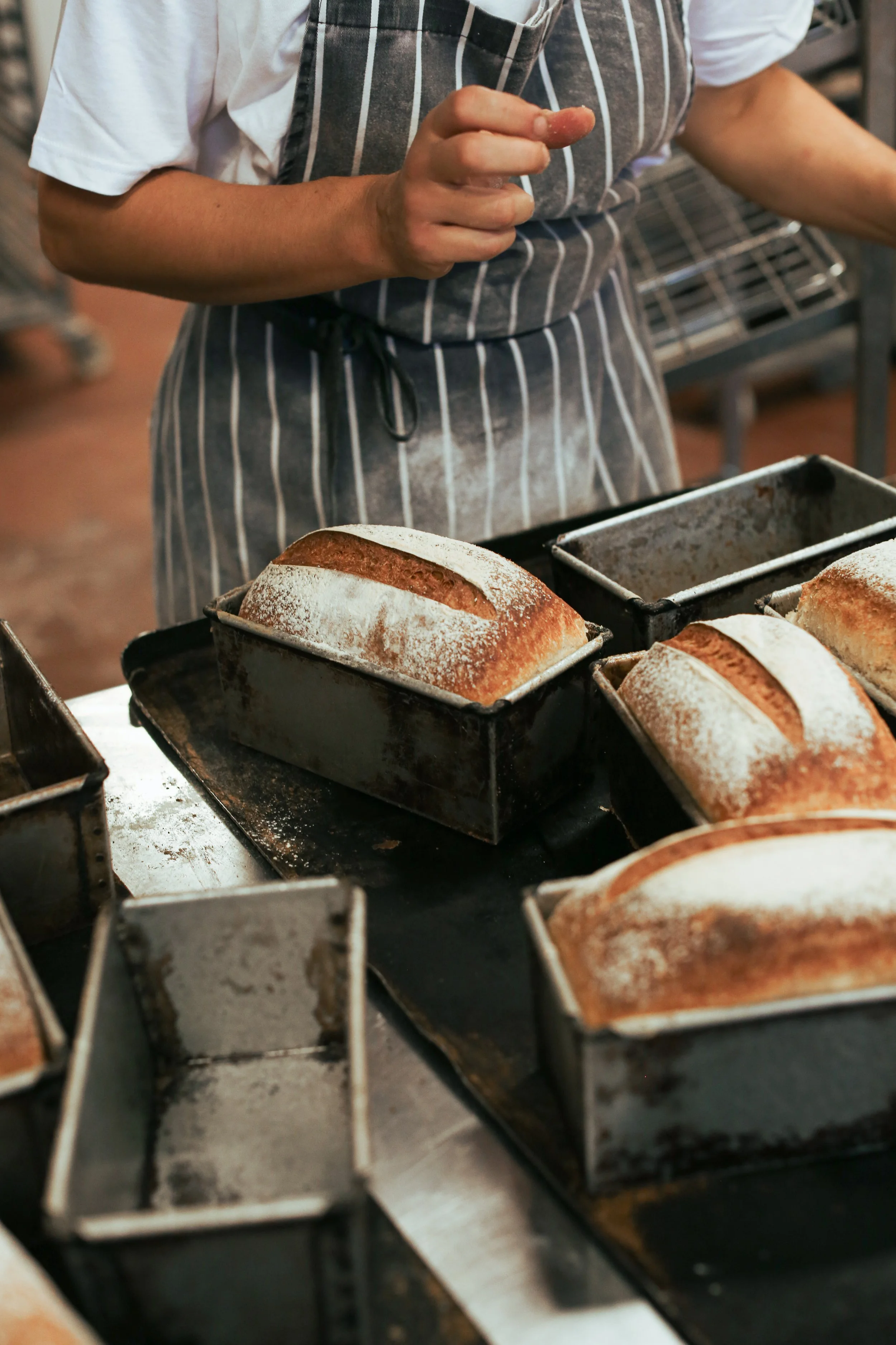 Fresh loaves of bread cooling in tins