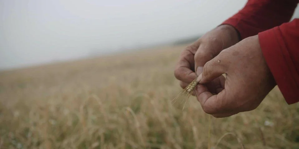 Film: In Our Hands