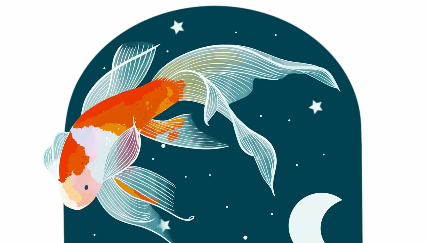 Lauren Gale Makes and Illustrates