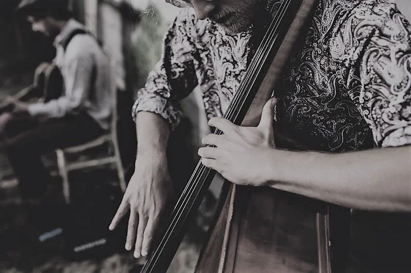 Live Music - Bill Frampton Jazz Trio