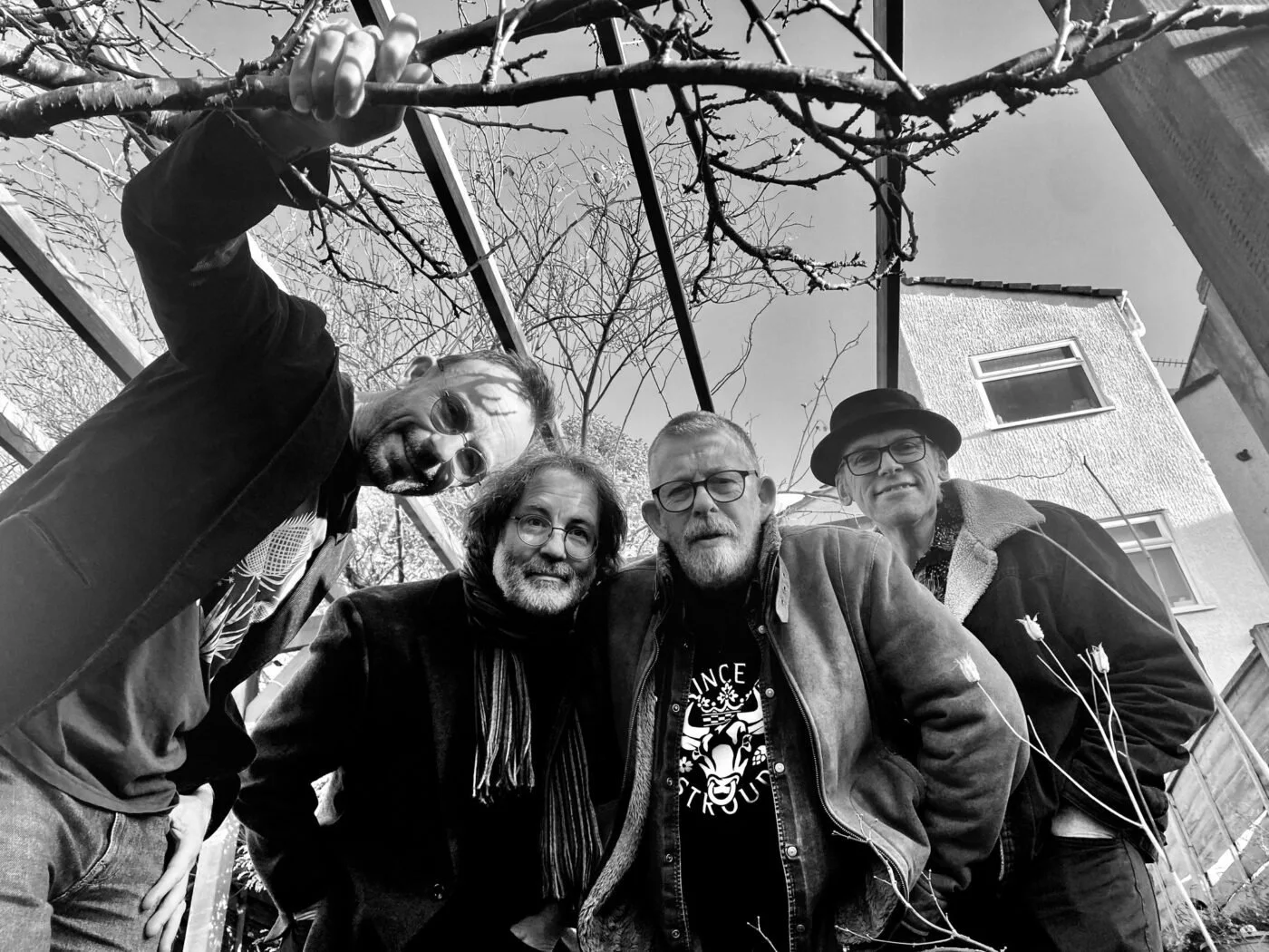 Folk at the Factory: Goldfinches