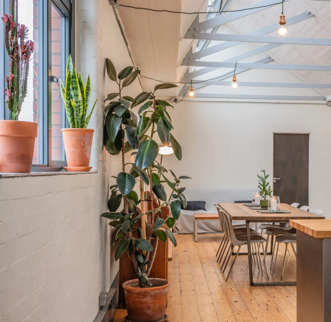 A cozy indoor loft space at the top of the Tobacco Factory, available for hire, with wooden flooring and a high ceiling, decorated with potted plants, a dining table with chairs, and warm lighting.