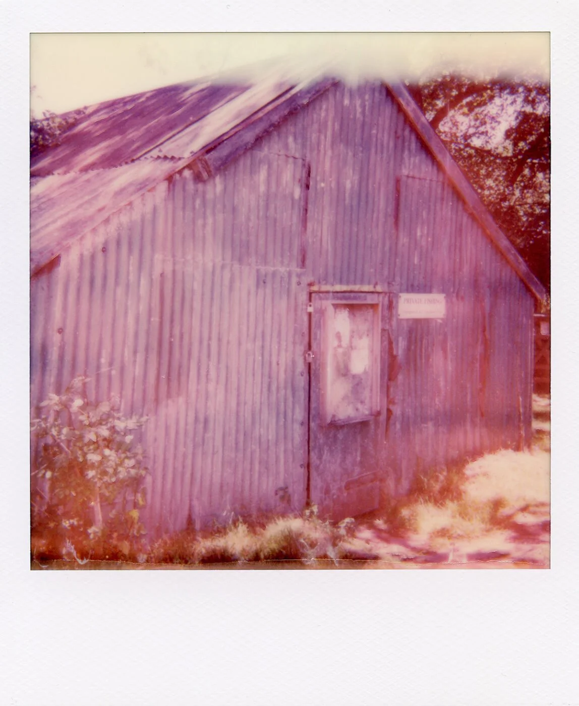 Wander Exhibition by Lindsey Davis