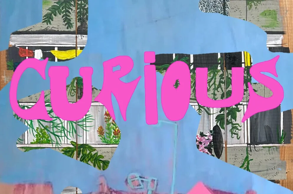 'Curious' an Exhibition in the Snug