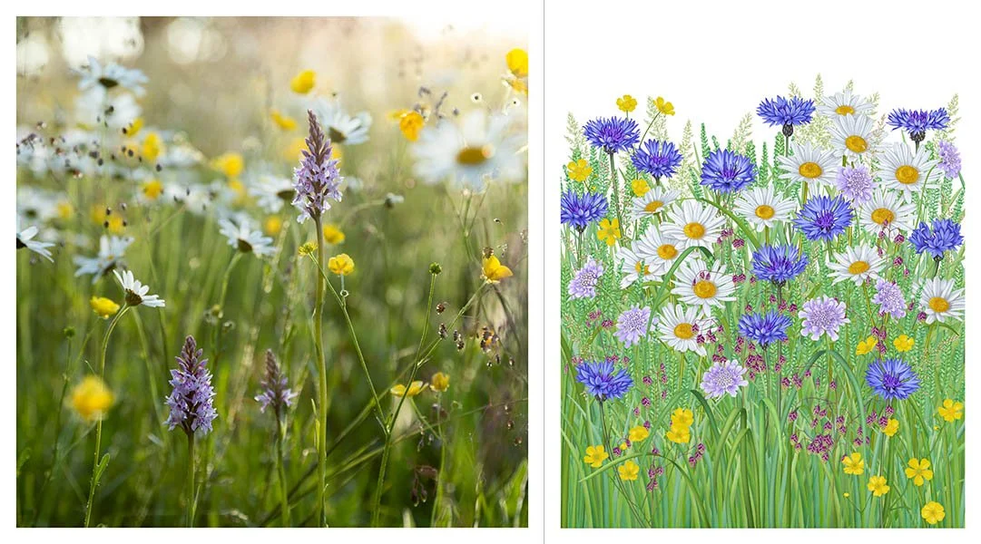 Bedminster In Bloom Exhibition in the Snug