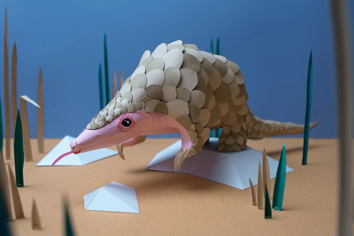 Paper things exhibition by Sam Pierpoint