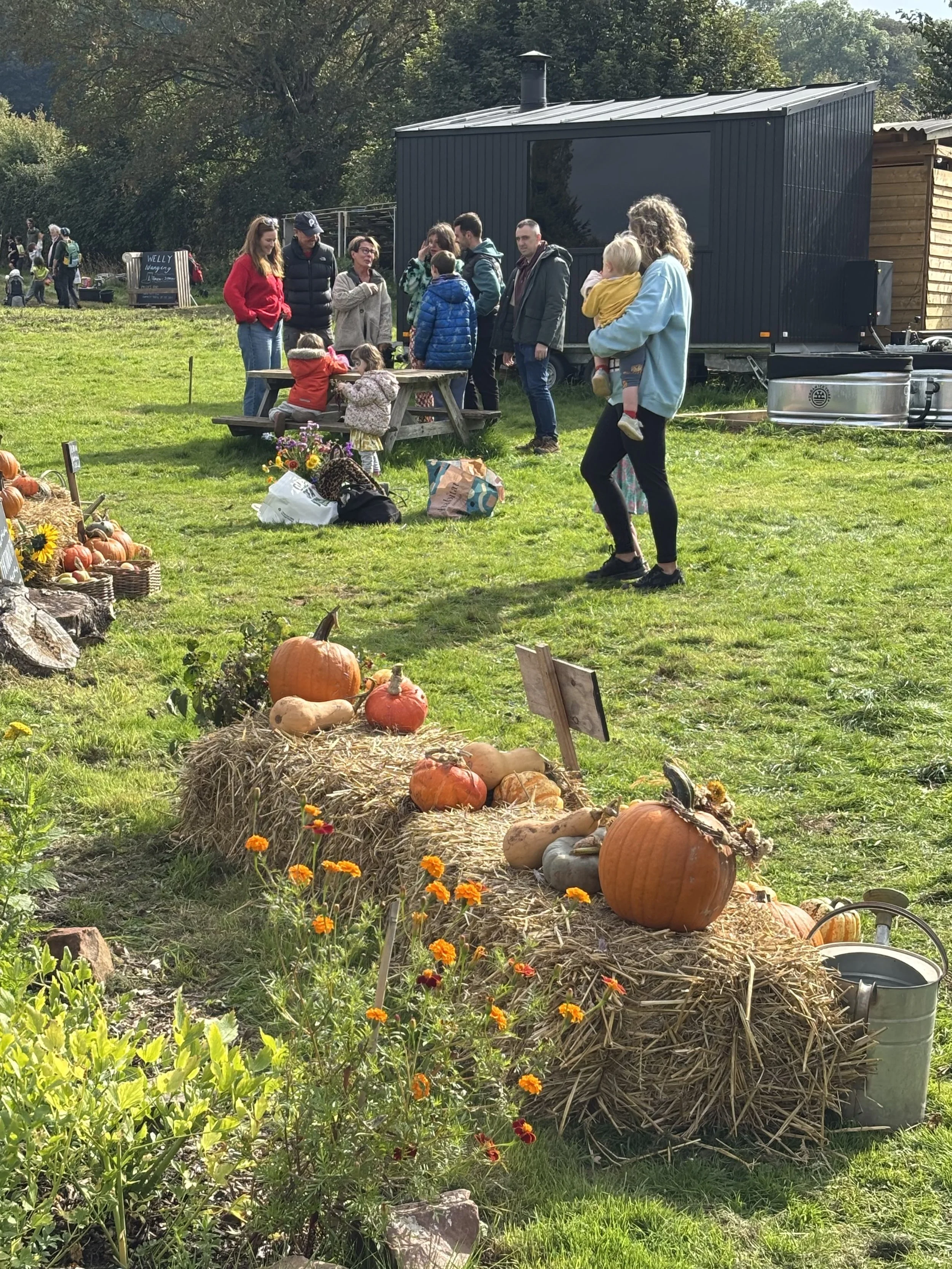 Pumpkins and gourds arranged on hay bales, surrounded by orange flowers, in a pumpkin patch during autumn at 5 Acre Farm.
