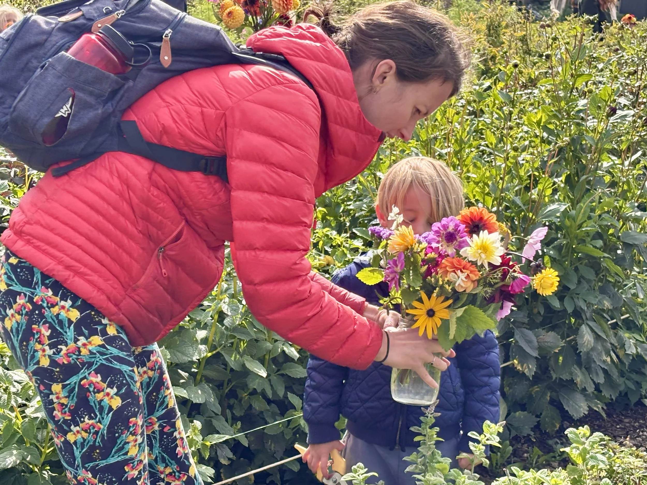 A woman and a young girl are picking flowers in a flower field at 5 Acre Farm. The woman is wearing a red quilted jacket and has a backpack, while the girl is wearing a blue quilted jacket. They are bending over a basket of colorful flowers.