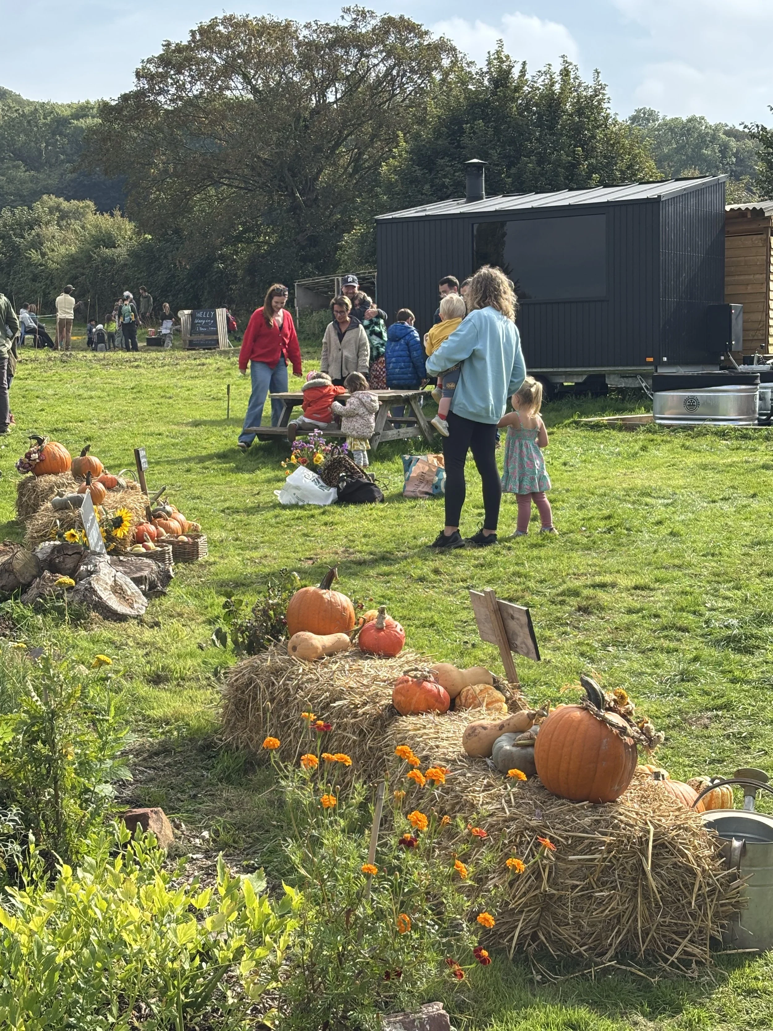 Community outdoor event with pumpkins, hay bales, and flowers in a grassy field, people gathered and socializing on a sunny day, trees in the background.