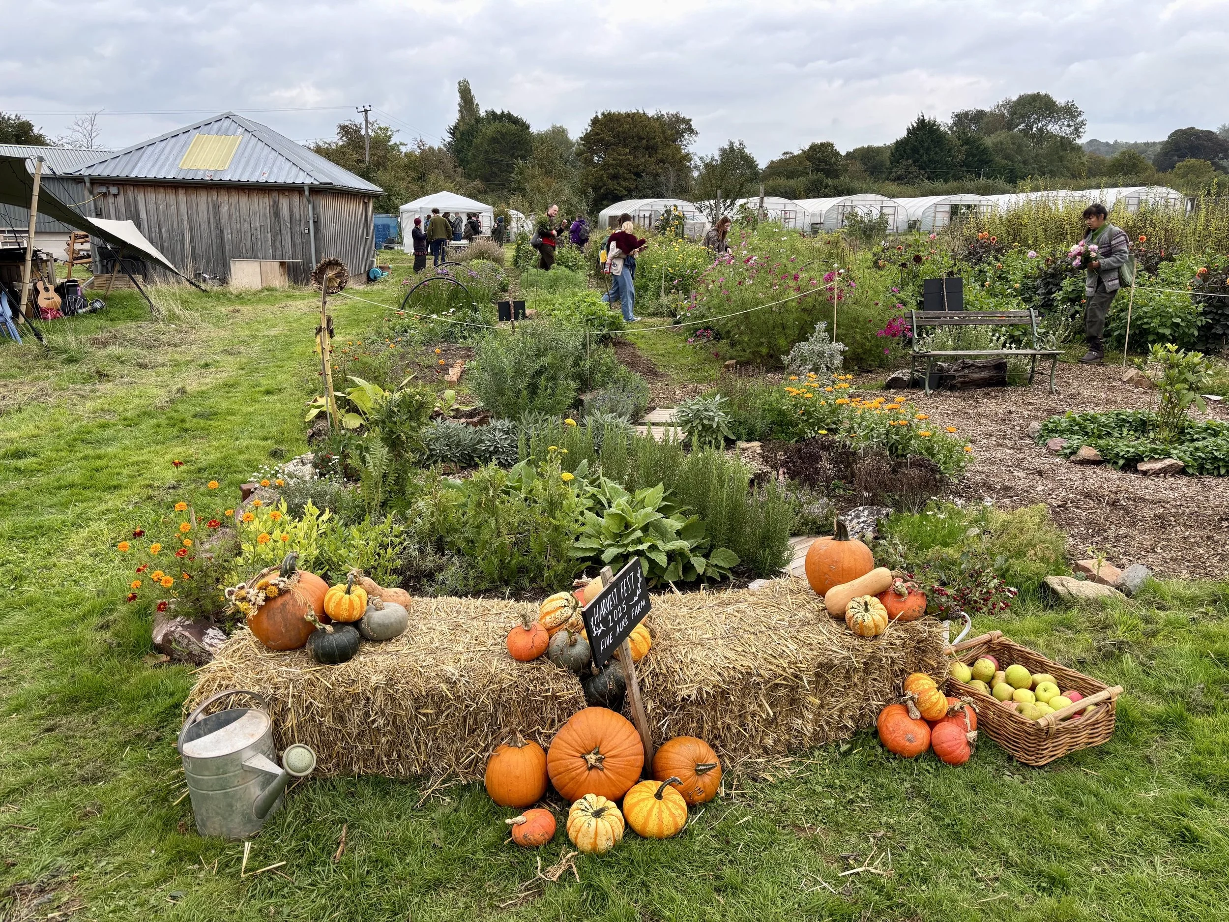 A pumpkin and vegetable display at 5 Acre Farm featuring pumpkins, gourds, and squash arranged on hay bales, with a sign reading 'Market Fest' and a basket of apples, set in a farmyard with people walking and greenhouses in the background.