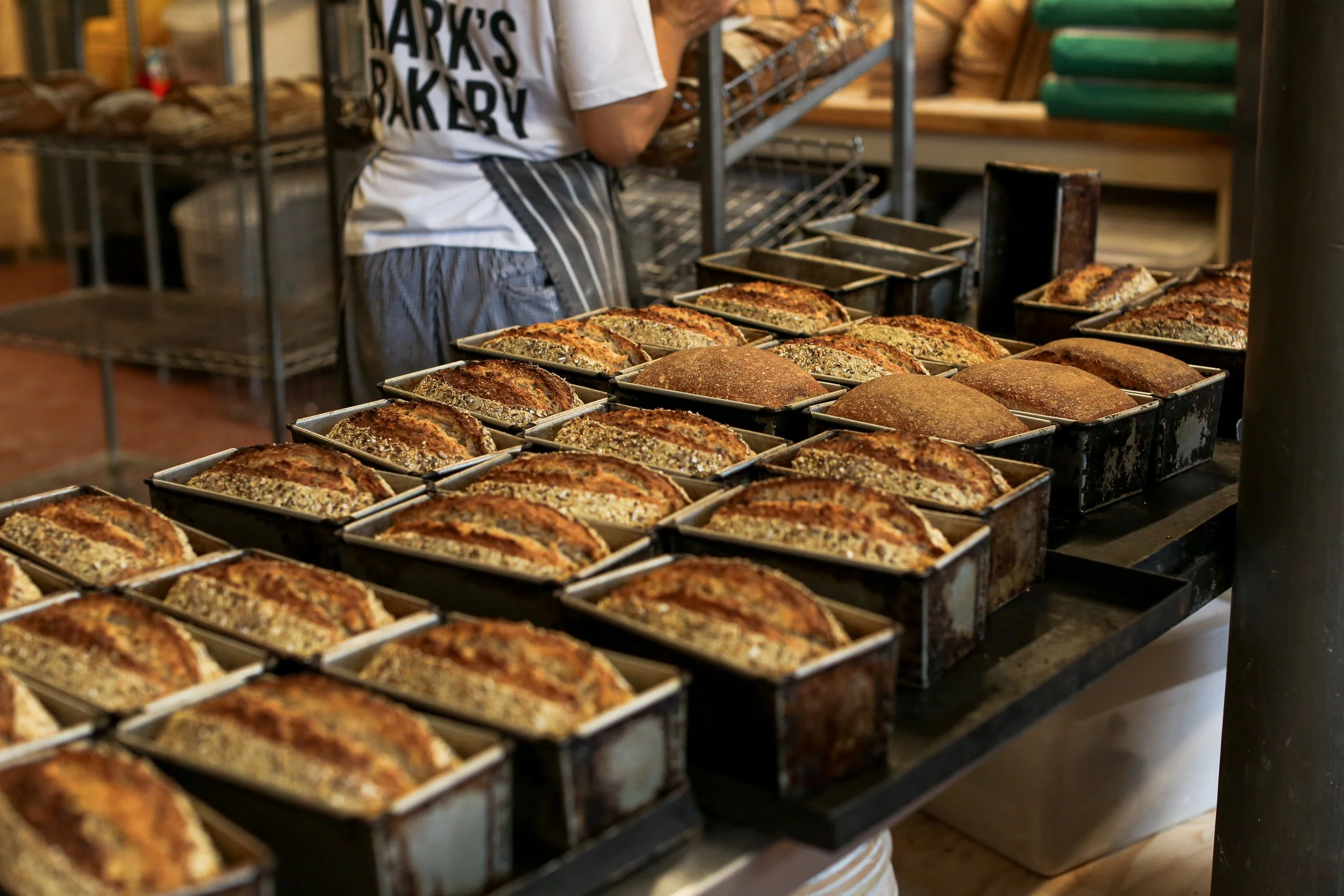 Fresh loaves of bread cooling in tins