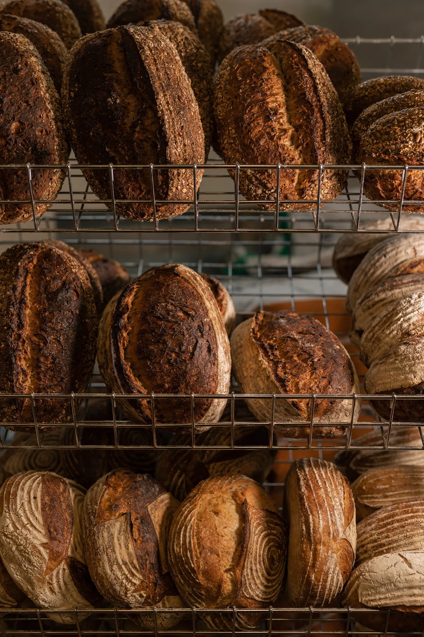 Multiple loaves from Mark's Bakery of bread with crusty, rustic appearance on metal racks, varying in shape and color, with some loaves having a darker, rough exterior and others a lighter striped pattern.