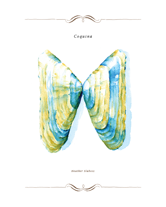 Coquina_Watercolor_Print.png