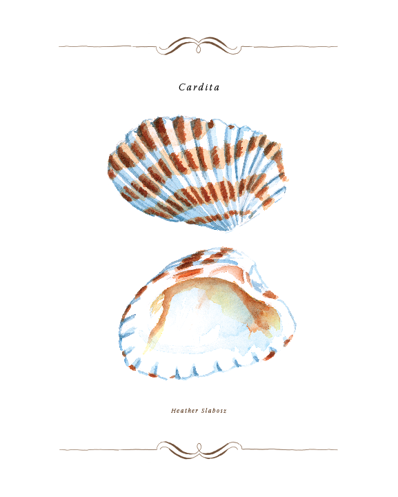 Cardita_Watercolor_Print.png