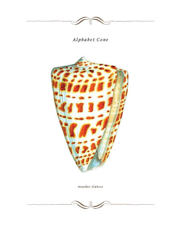 Alpha Cone_Watercolor_Print.png