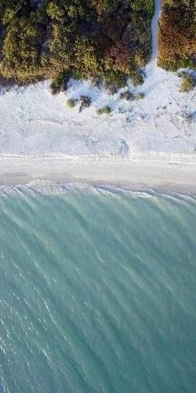 Aerial view of a beach with turquoise water, white sand, and a tree line with green and autumn-colored foliage.