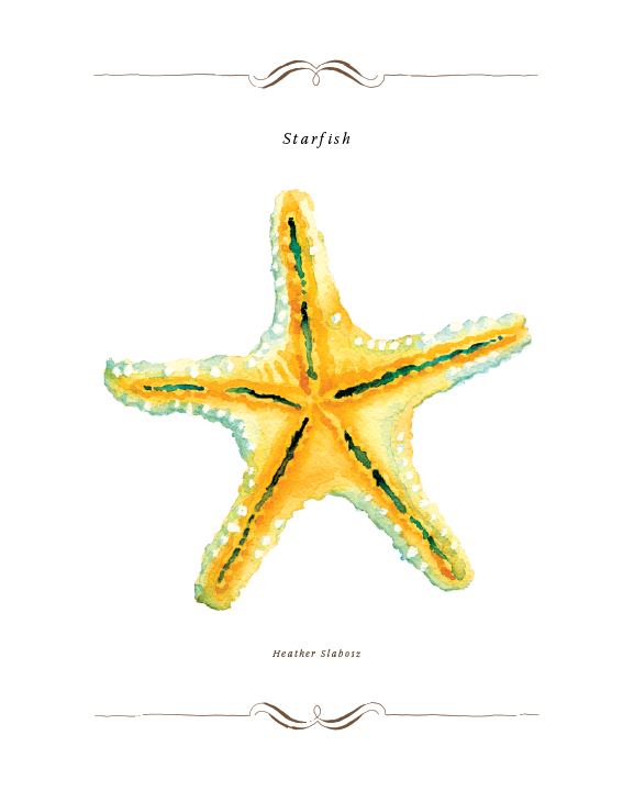 Star_Fish_Under_Watercolor_Print.png