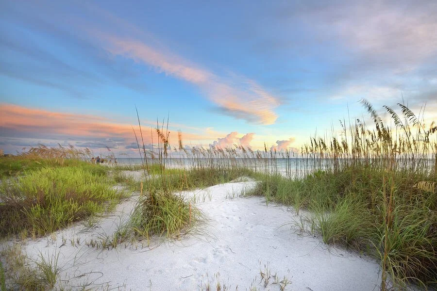 A sandy beach path through tall grass grass leading to the ocean, with a colorful sunrise or sunset sky with clouds.