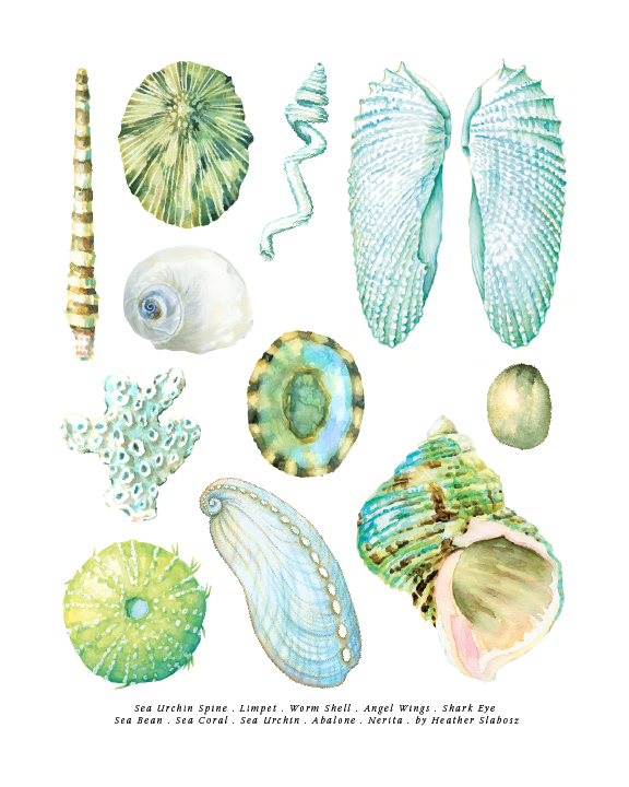 Blue Seashells_Watercolor_Print.png